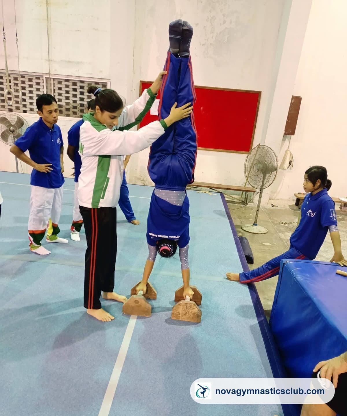 A coach spotting a gymnast holding a handstand on wooden parallettes while teammates watch